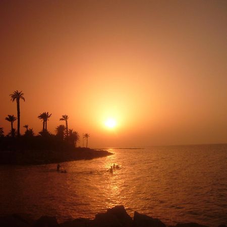 Hotel Les Palmiers Monastir Ngoại thất bức ảnh